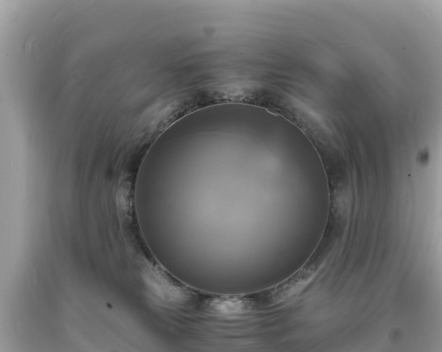 X0000093730181200710231158