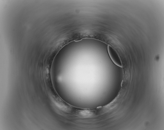 X0000093730183200710231159