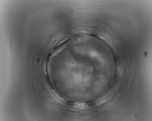 X0000093730185200710231159