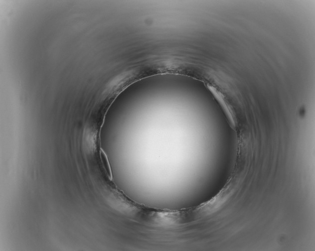 X0000093730188200710231159