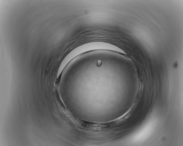 X0000093730190200710231159