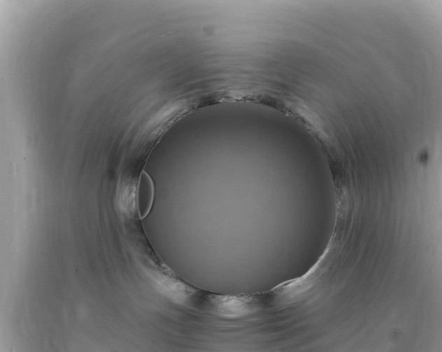 X0000093730191200710231159