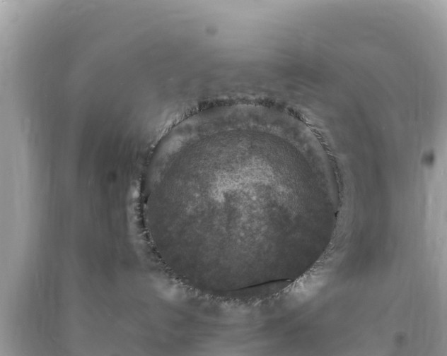 X0000093730192200710231159