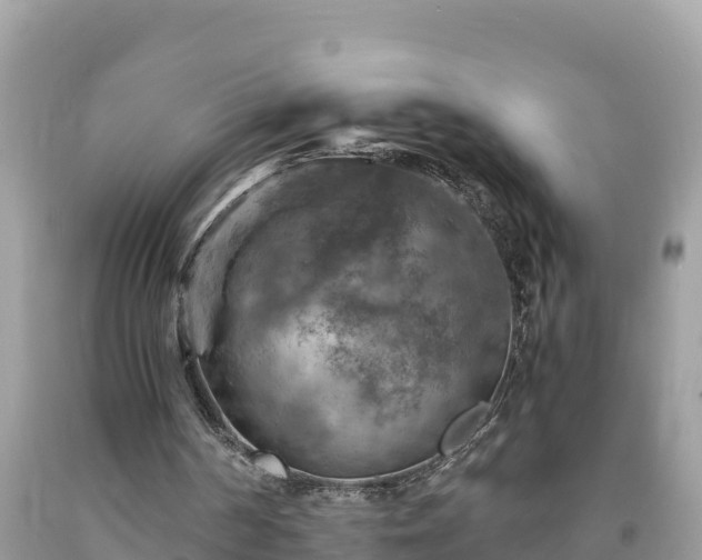 X0000093730194200710231158