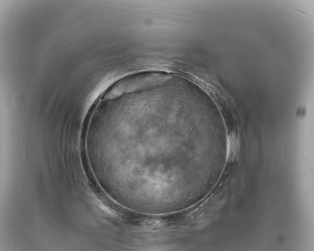 X0000093730195200710231158