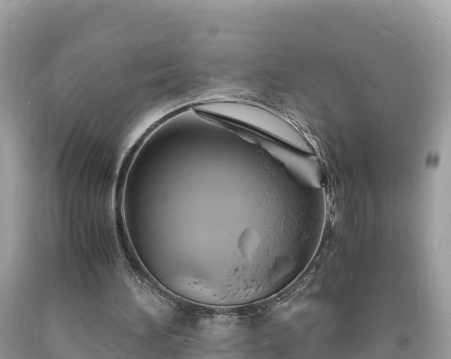 X0000093730196200710231158