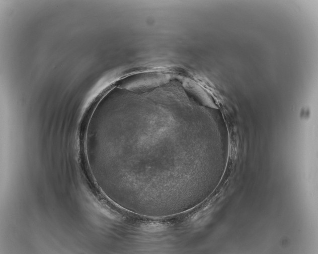 X0000093730198200710231158