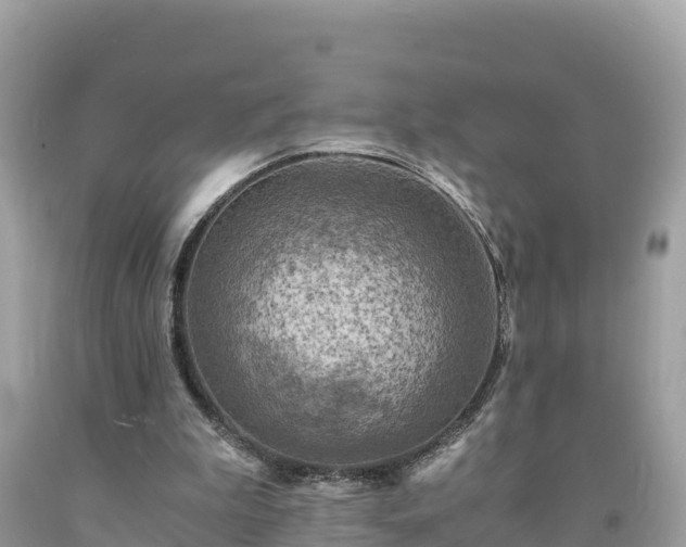X0000093730199200710231158