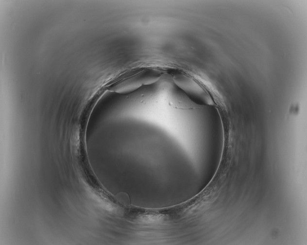 X0000093730202200710231158