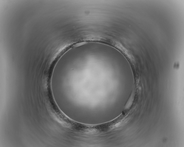 X0000093730203200710231158
