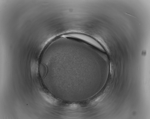 X0000093730204200710231158
