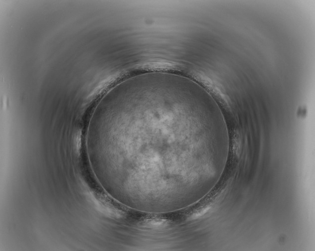 X0000093730206200710231158