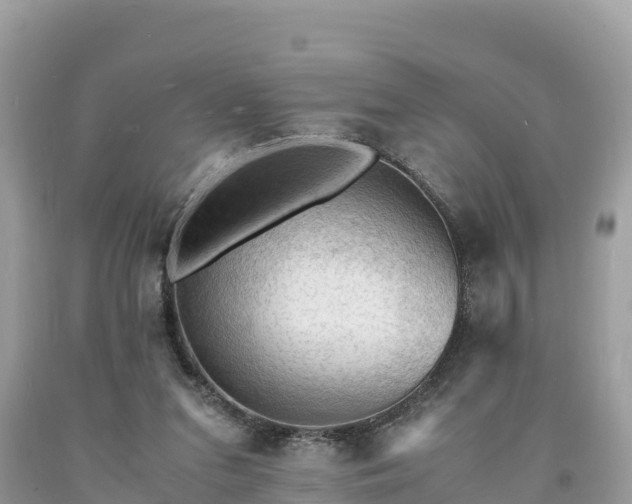 X0000093730207200710231158