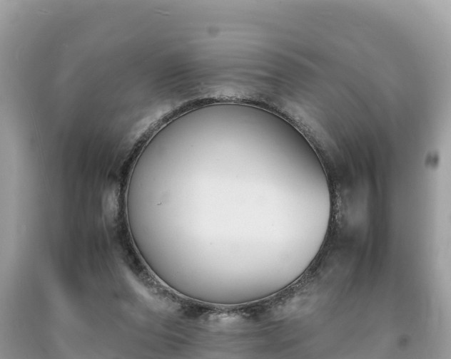 X0000093730208200710231158