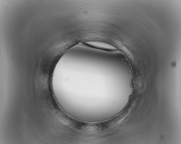 X0000093730209200710231158