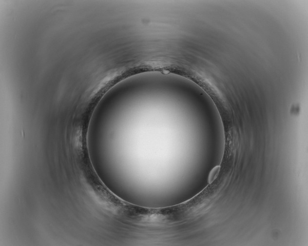 X0000093730212200710231158