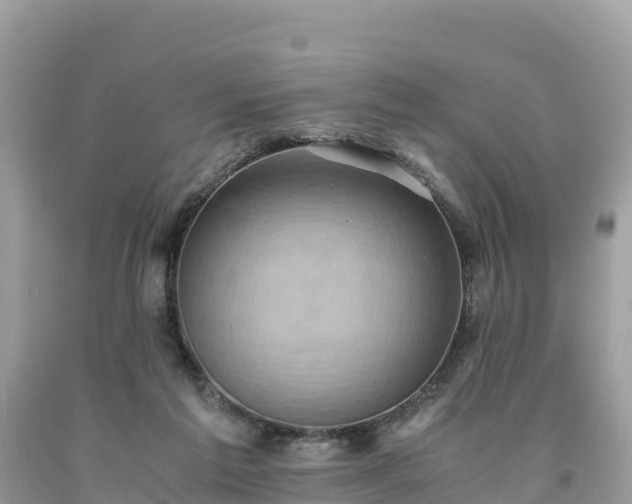 X0000093730213200710231158
