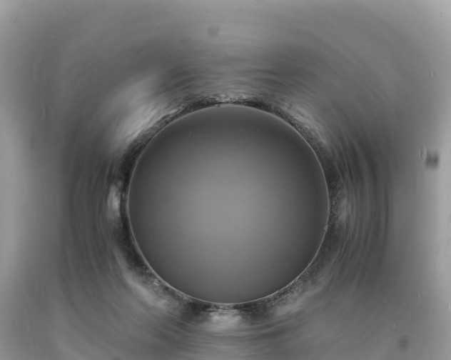 X0000093730214200710231158