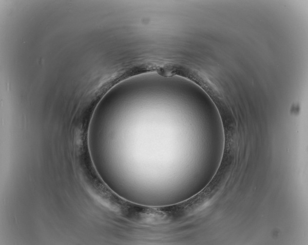 X0000093730215200710231158