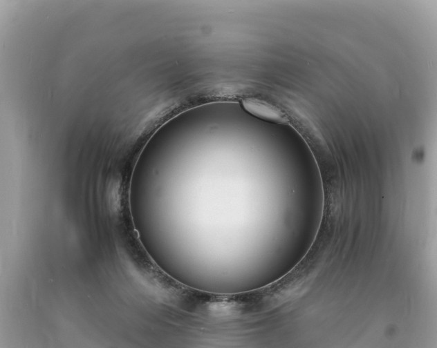 X0000093730216200710231158