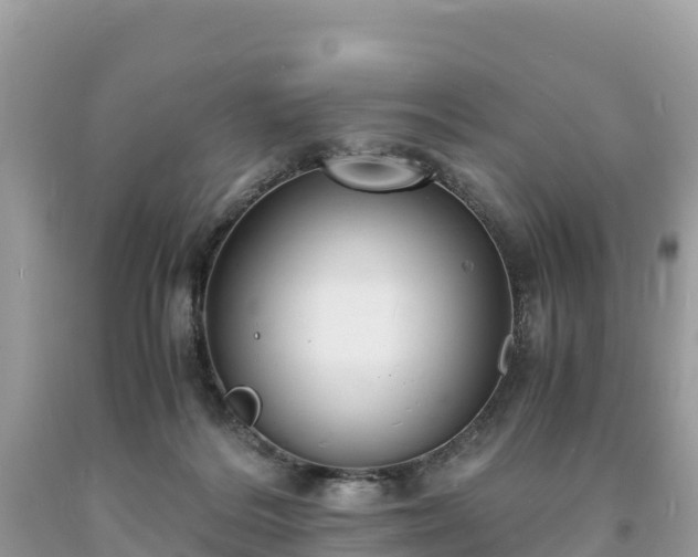 X0000093730220200710231158