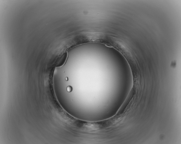 X0000093730221200710231158