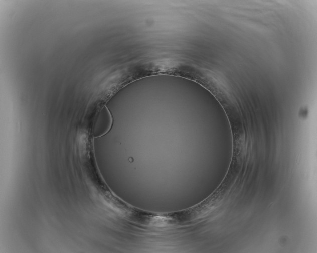 X0000093730222200710231158
