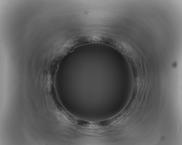 X0000093730223200710231158