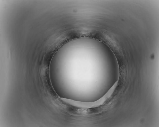 X0000093730225200710231158