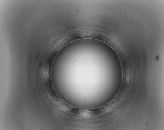 X0000093730226200710231158
