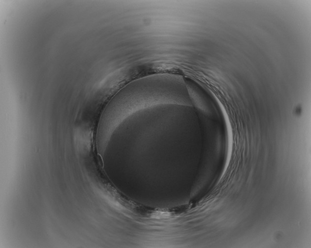 X0000093730227200710231158