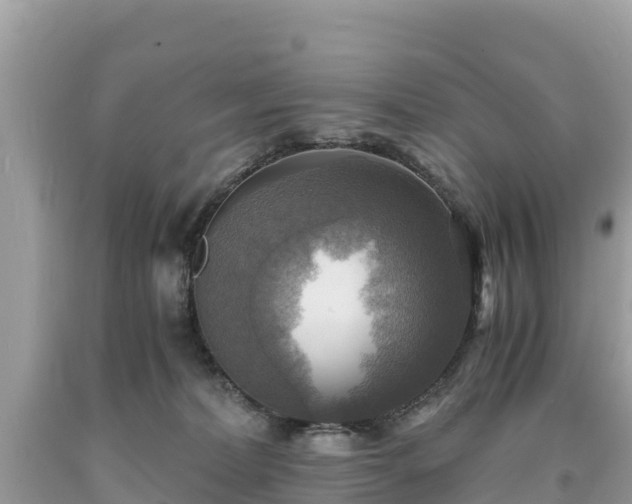 X0000093730228200710231158