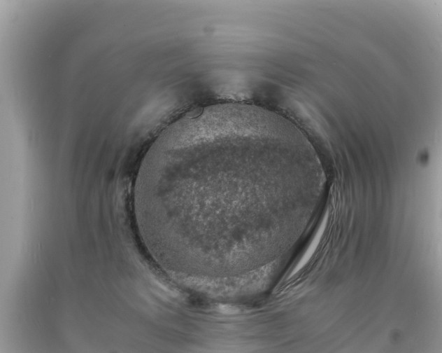 X0000093730229200710231158