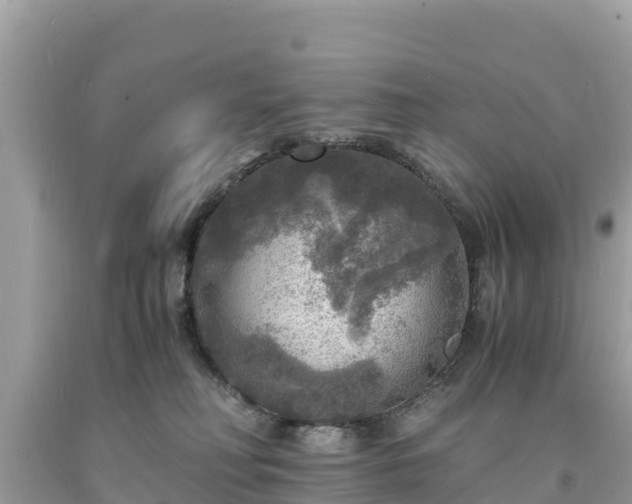X0000093730230200710231158