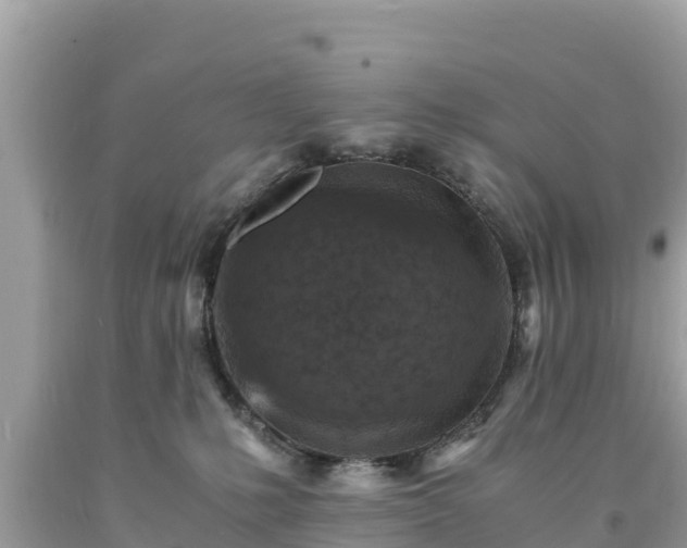 X0000093730231200710231158
