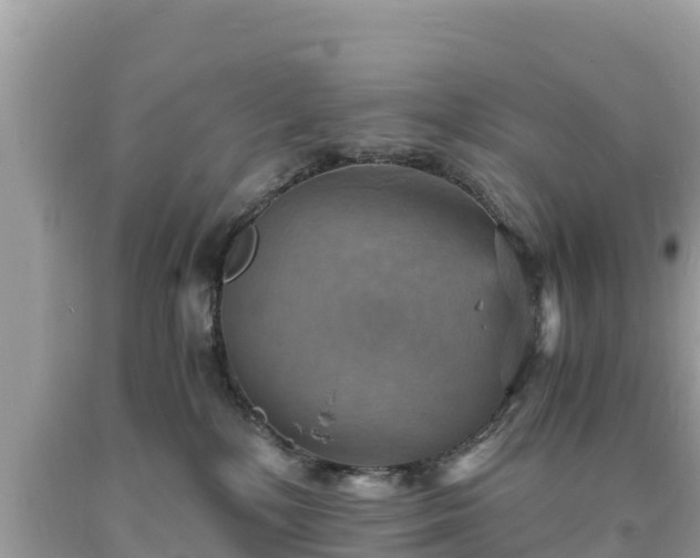 X0000093730232200710231158