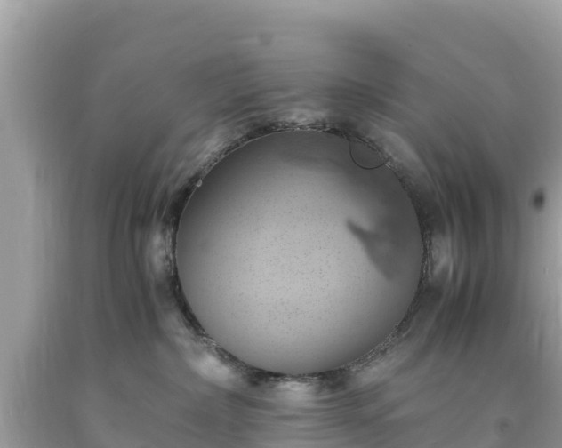 X0000093730236200710231157
