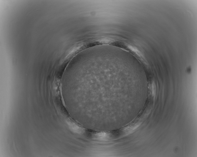 X0000093730237200710231157