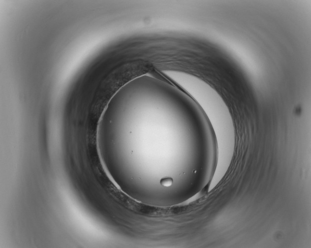 X0000093730239200710231157