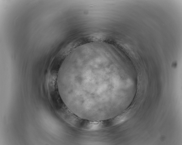 X0000093730240200710231157