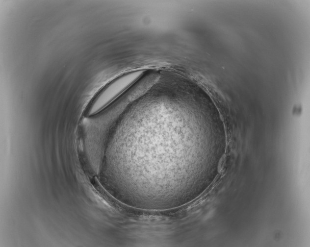 X0000093730242200710231157