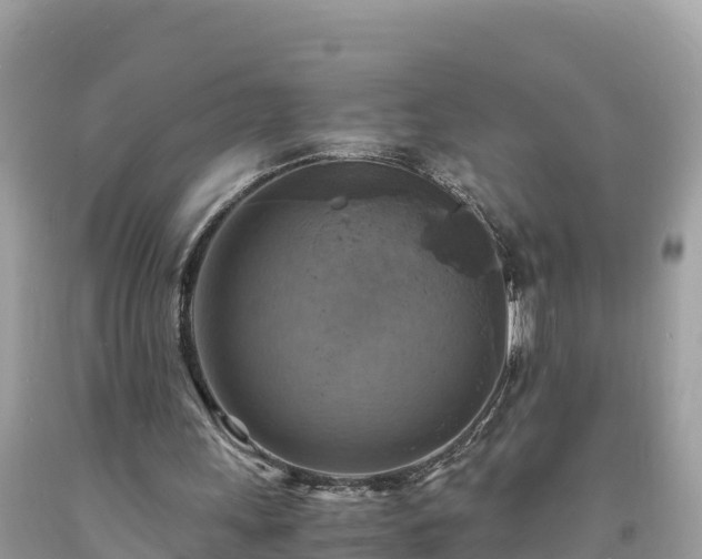 X0000093730243200710231157