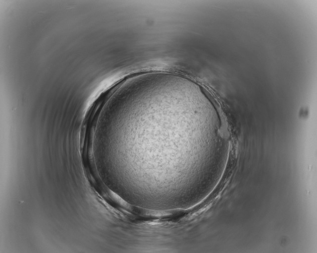 X0000093730244200710231157