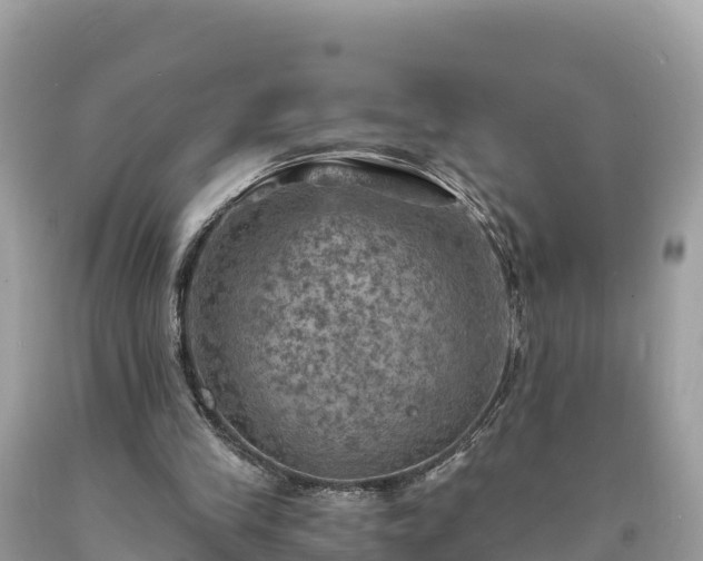 X0000093730245200710231157