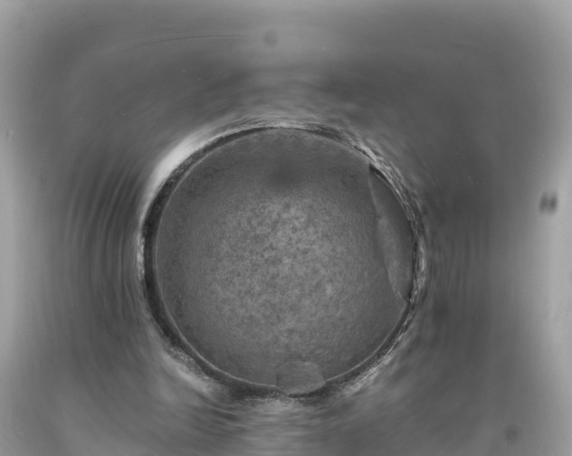 X0000093730246200710231157