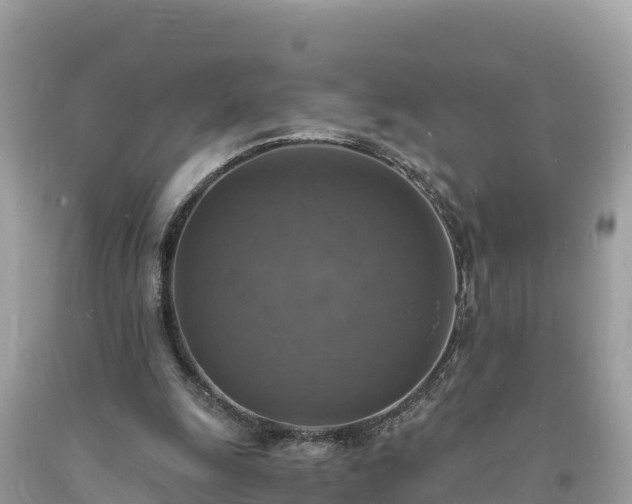 X0000093730247200710231157
