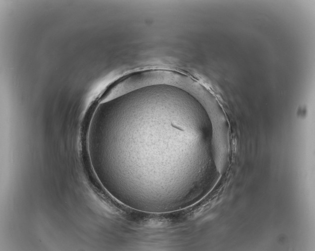 X0000093730248200710231157