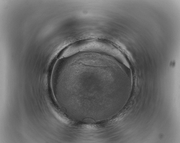 X0000093730250200710231157