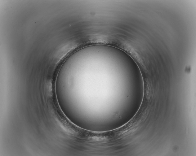 X0000093730251200710231157