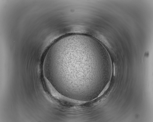 X0000093730252200710231157